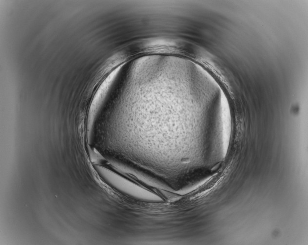 X0000098221049200805081153