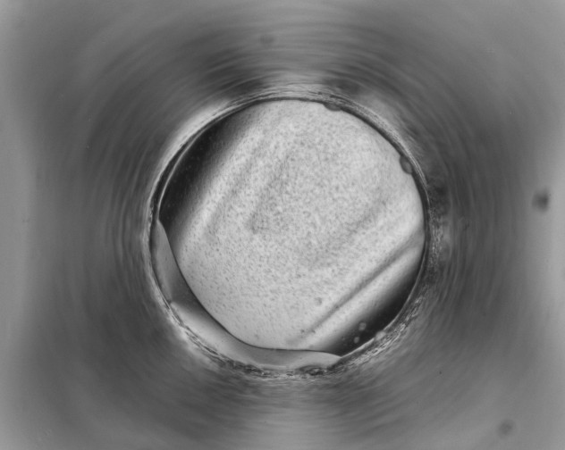 X0000098221050200805081153