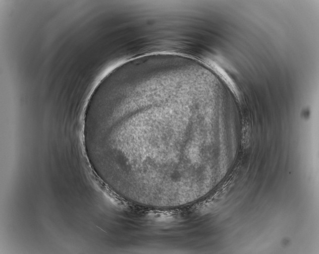 X0000098221051200805081153