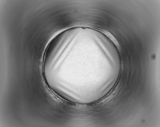 X0000098221052200805081154