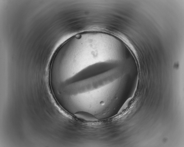 X0000098221053200805081154