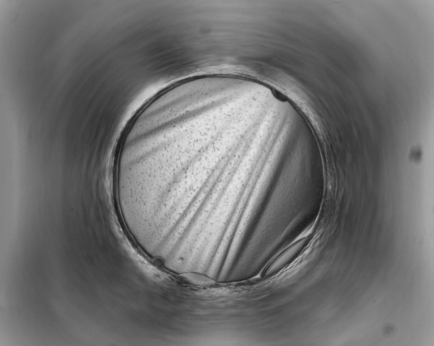 X0000098221054200805081154