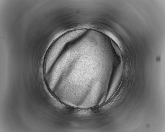 X0000098221055200805081154