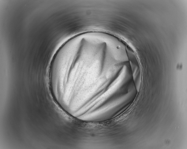 X0000098221056200805081154