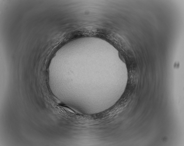 X0000098221057200805081153