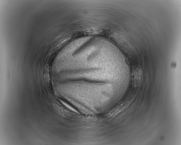 X0000098221058200805081153