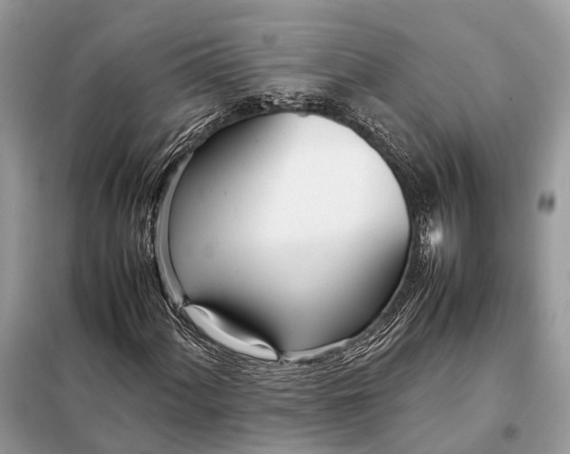 X0000098221060200805081153