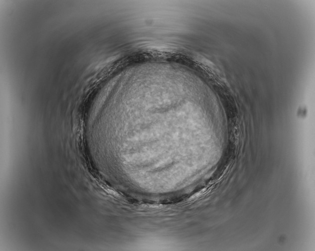 X0000098221061200805081153