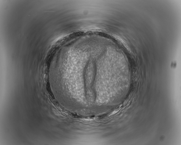 X0000098221063200805081153