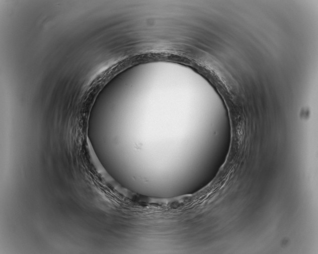 X0000098221064200805081153