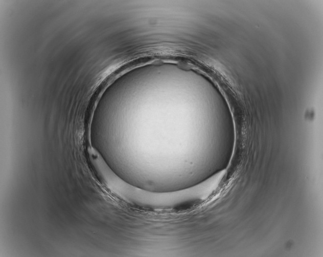 X0000098221065200805081153