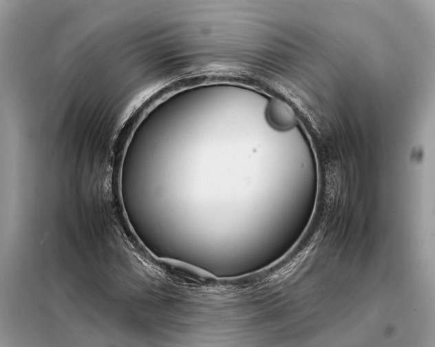 X0000098221066200805081153