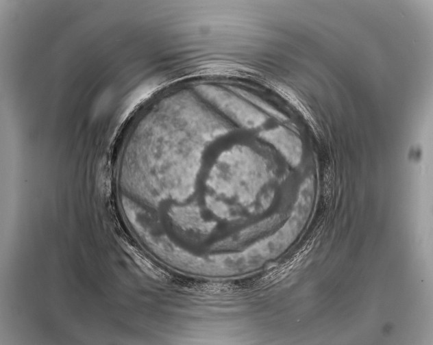 X0000098221067200805081153