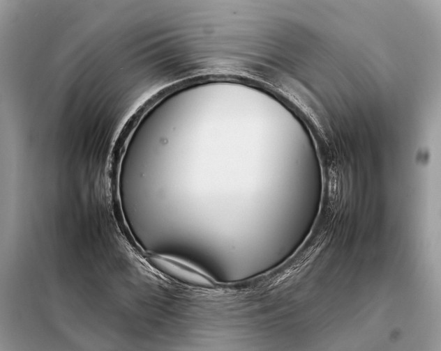 X0000098221068200805081153