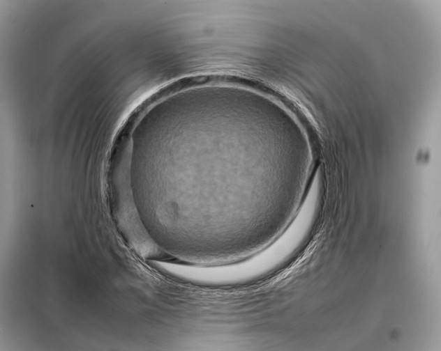 X0000098221069200805081153