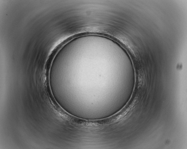 X0000098221070200805081153