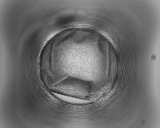 X0000098221071200805081153