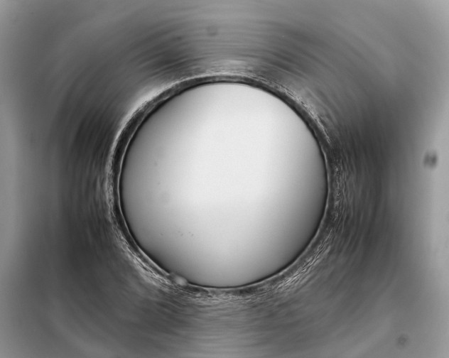 X0000098221072200805081153