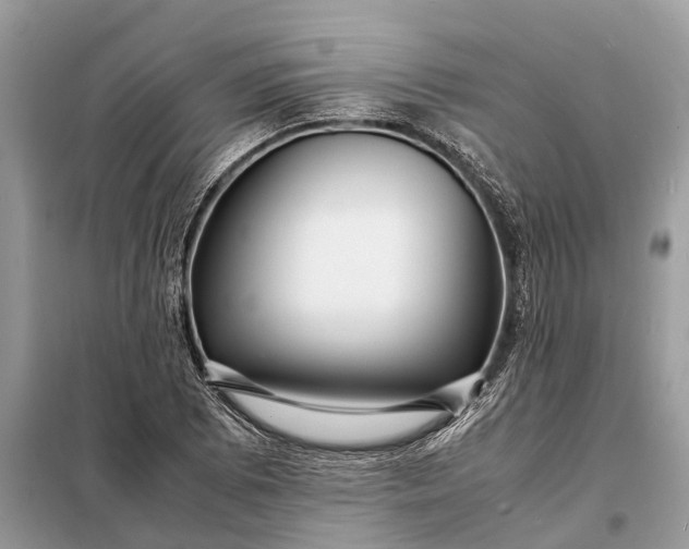 X0000098221073200805081153