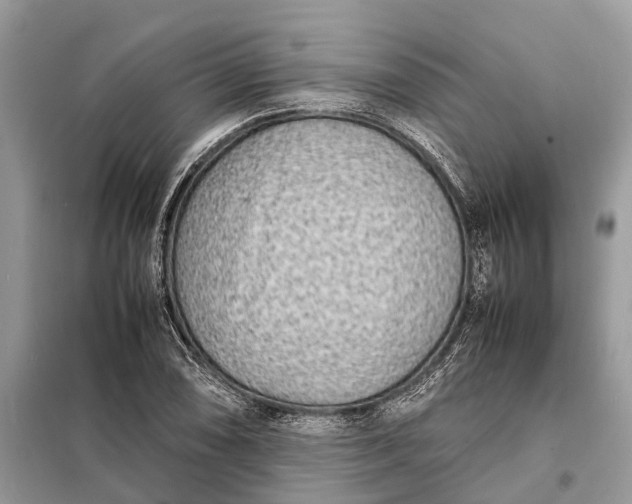 X0000098221074200805081153