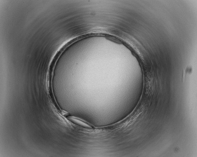 X0000098221076200805081153