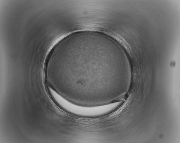 X0000098221077200805081153