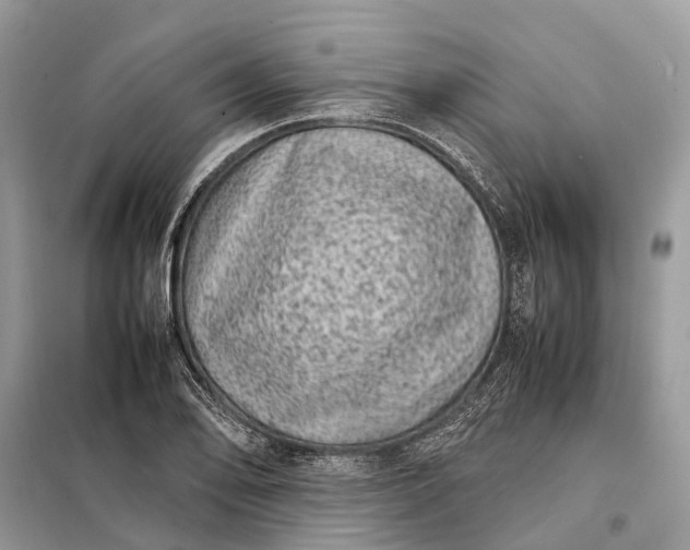 X0000098221078200805081153