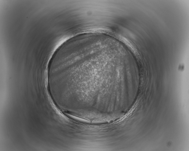 X0000098221079200805081153