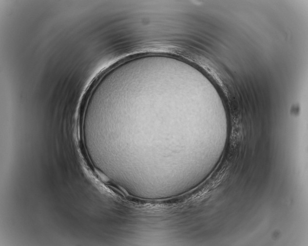 X0000098221080200805081153