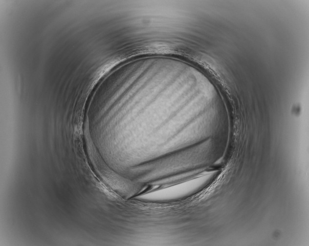 X0000098221081200805081153