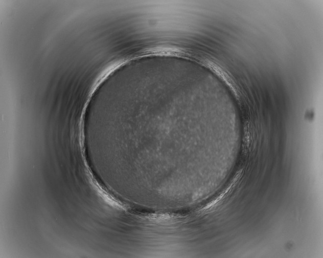 X0000098221082200805081153