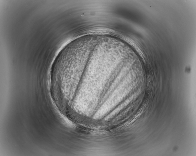 X0000098221083200805081153