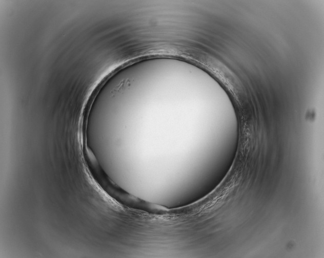 X0000098221084200805081153