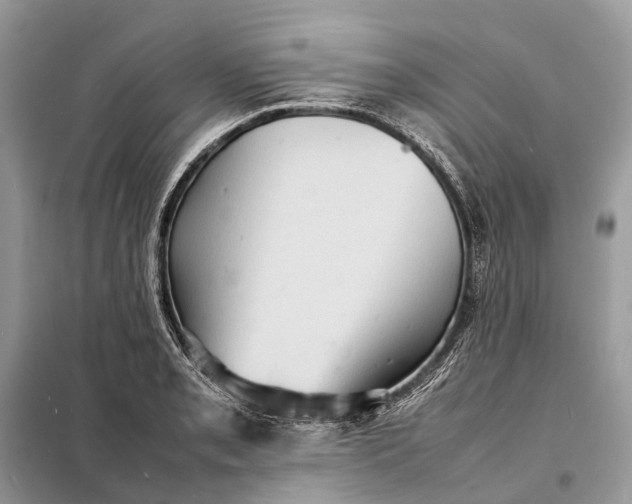 X0000098221085200805081152