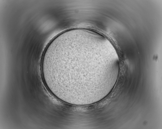 X0000098221086200805081152