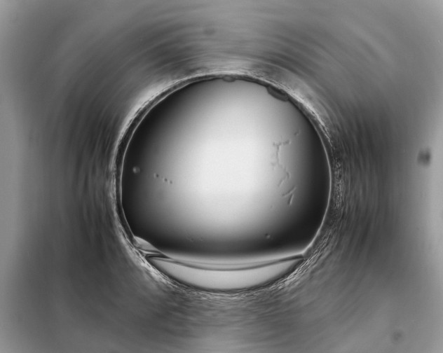 X0000098221088200805081152