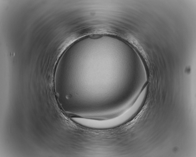 X0000098221089200805081152