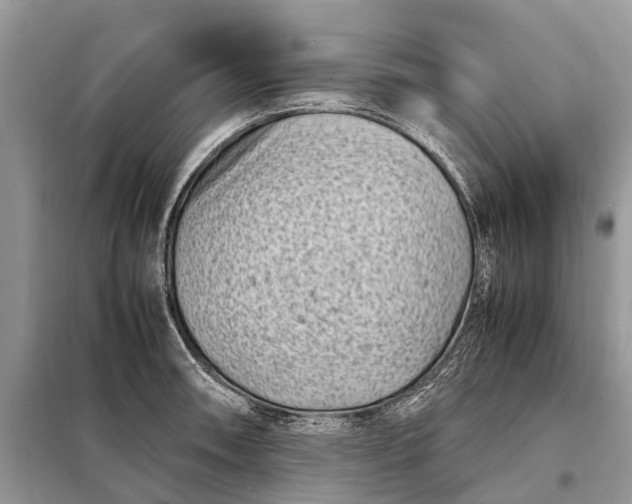 X0000098221090200805081152