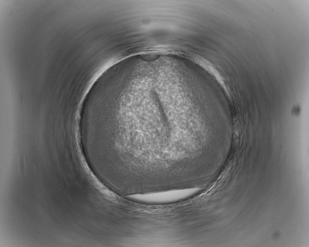 X0000098221091200805081152