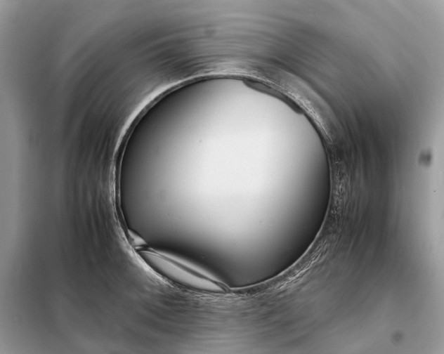 X0000098221092200805081152