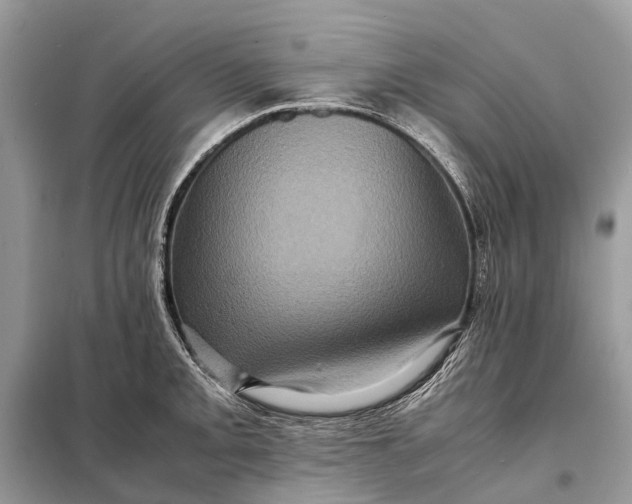 X0000098221093200805081152