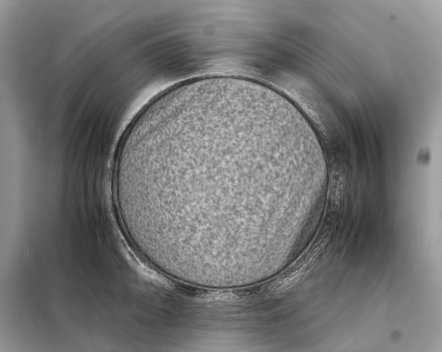 X0000098221094200805081152