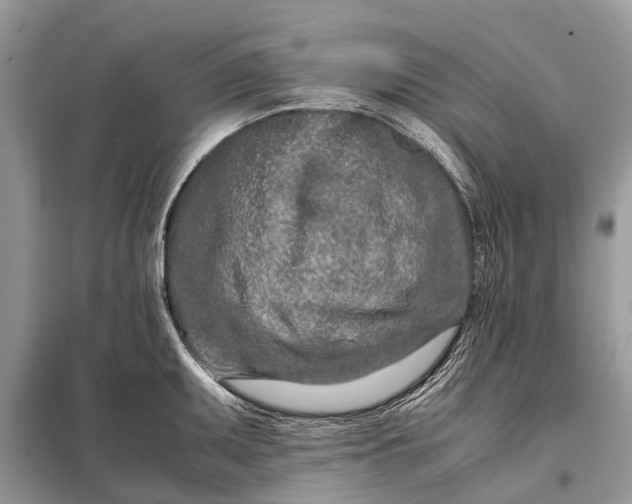 X0000098221095200805081152