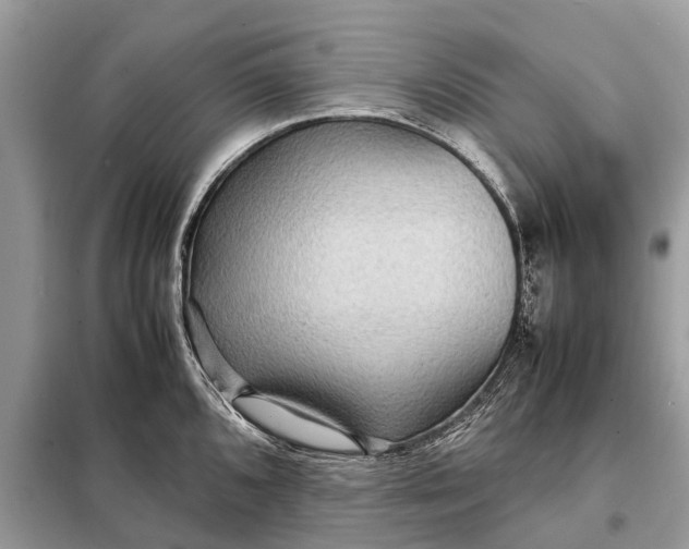 X0000098221096200805081152