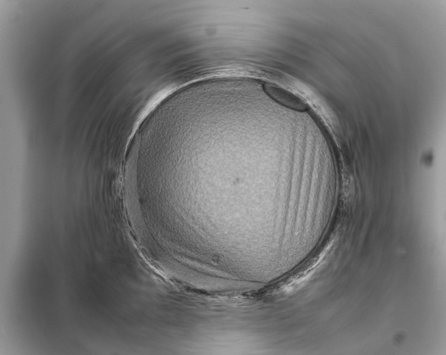 X0000098221097200805081152