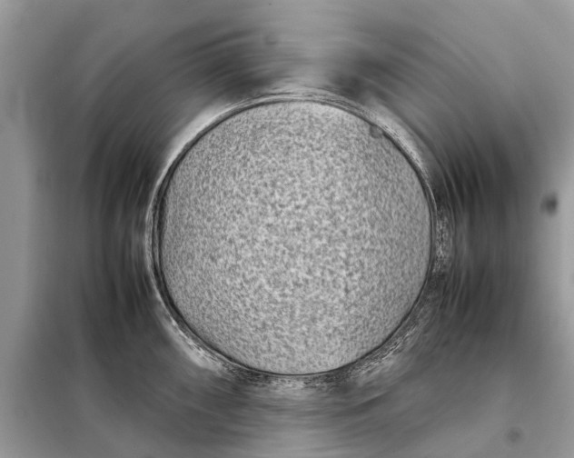 X0000098221098200805081152