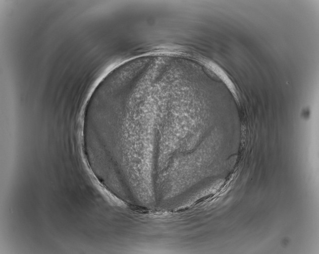 X0000098221099200805081152