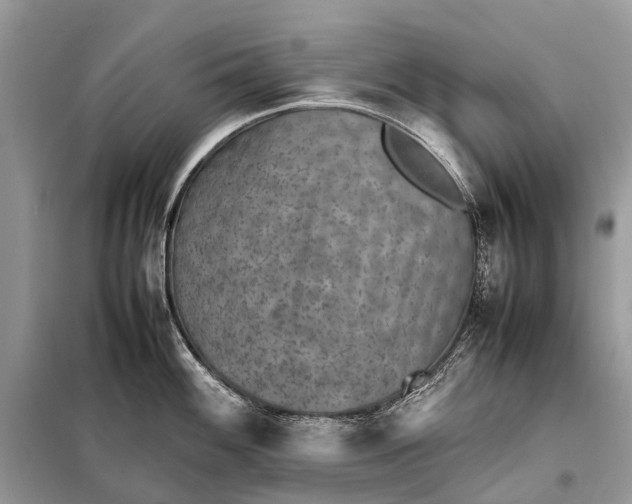 X0000098221100200805081152