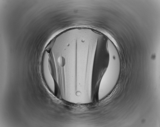 X0000098221101200805081152