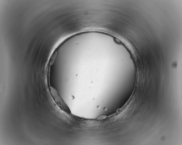 X0000098221102200805081152